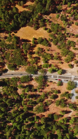 cars going by the road in yosemite national park, california, united states. pine tree forest growing on the dry rocky landscape from top view. vertical video
