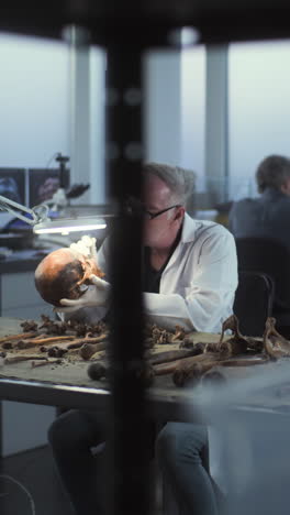 archaeologist examining human skull and bones