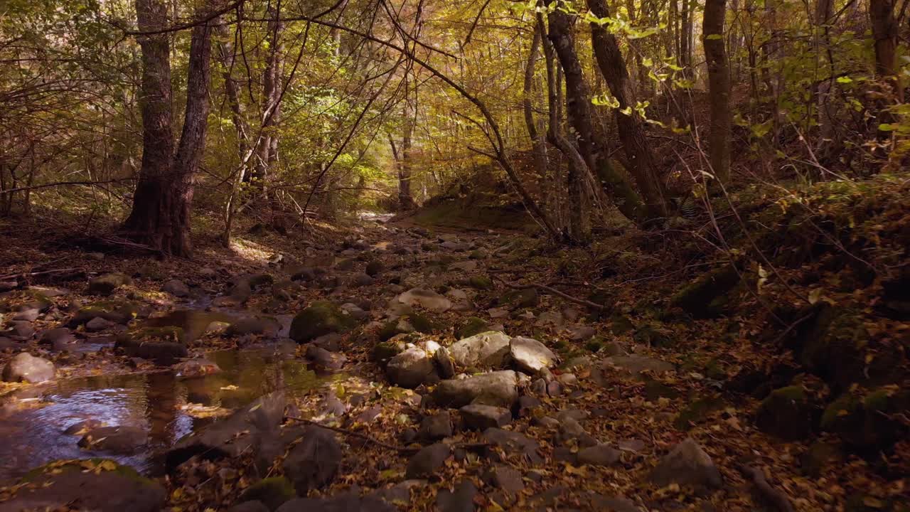 Filmato drone a bassa quota su un piccolo fiume in autunno-2