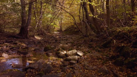 low drone footage over small river in autumn-2