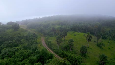aerial flight over green mountain and path during