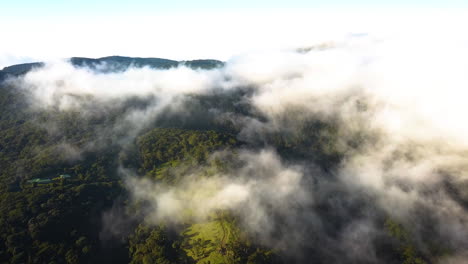 nubes cinematográficas a la deriva sobre una selva tropical
