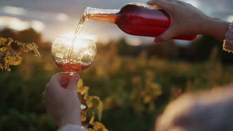 the winemaker pours red wine into a glass, stands in the vineyard where the sun is beautiful. 4k slow motion video