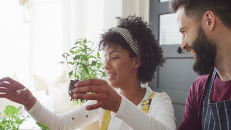 Video-De-Una-Pareja-Feliz-Y-Diversa-Divirtiéndose-Plantando-Plántulas-Y-Cuidando-Plantas-En-Casa