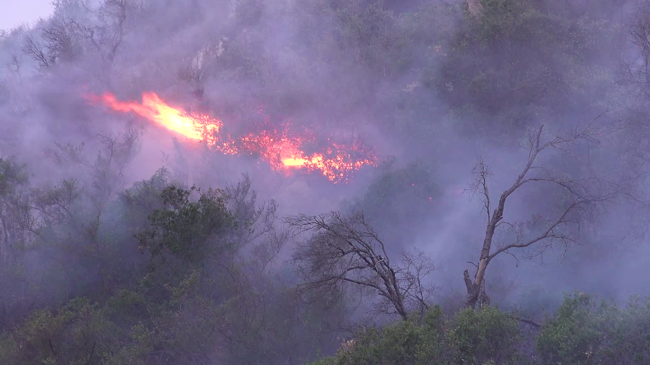 Un incendio boschivo sulle colline di Malibu divampa in modo incontrollato nell'incendio di Woolsey 1