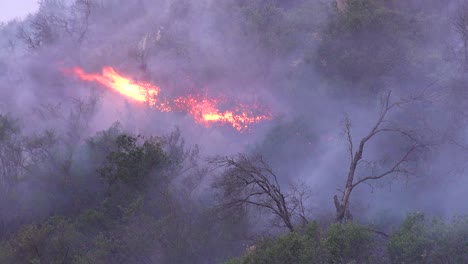 un incendio forestal en las colinas de malibu arde fuera de control en el incendio de woolsey 1