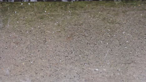 close up of heavy rain and hail in the ground