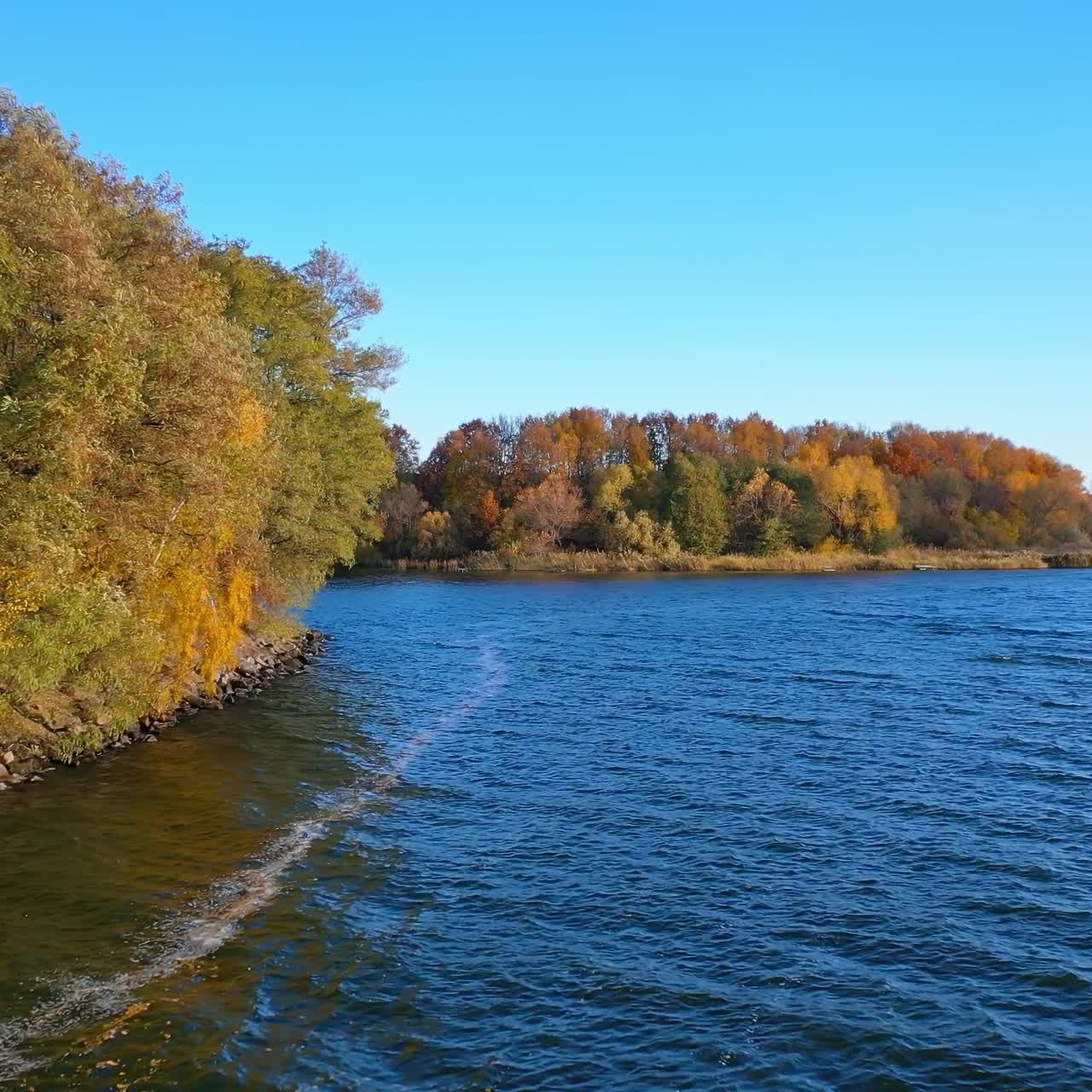 River near colorful trees. Nature landscape in autumn. Beautiful scenery in fall season. Blue lake on yellow trees background