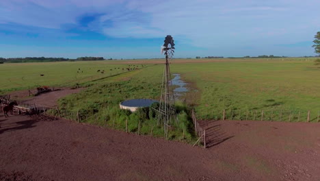 AERIAL---Horses-on-a-farm-next-to-windmill,-Mercedes,-Argentina,-spinning-shot