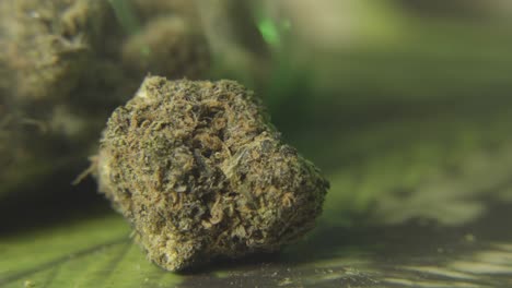 panorámica de cerca de un brote de marihuana frente a una bolsa de flor de cannabis