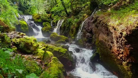 tripod video of a river flowing over mossy rocks in a hot and humid forest on the outskirts of albania