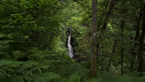 fuerza aérea, cascada en el distrito de los lagos cumbria