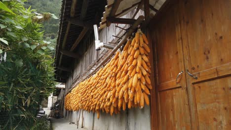 Mais,-Der-Zum-Trocknen-Entlang-Der-Fassade-Des-Traditionellen-Gebäudes,-Guizhou,-China,-Handwagen-Hängt