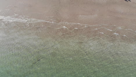 playa de lido de venecia
