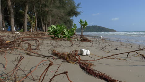 playa contaminada después de la tormenta