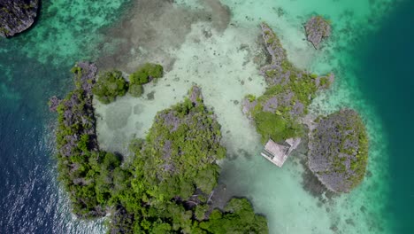 raja ampat aerial of the beach and reef on a hot sunny day