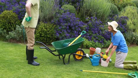 senior couple gardening together