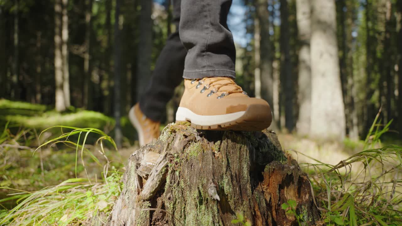 Vandring i ett naturreservat: Naturskön utomhusvandring genom skogsstigar och djurvänliga landskap.