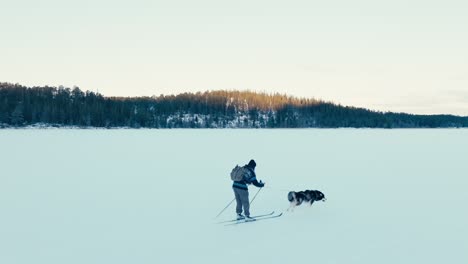 Skijoring---Perro-Malamute-De-Alaska-Corriendo-Tirando-Del-Esquiador-Sobre-La-Nieve-En-Invierno