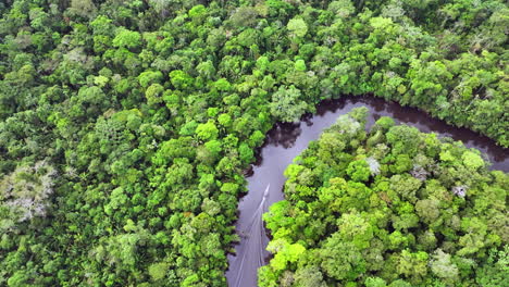 aerial shot above canoe cruising a curvy river in the cuyabeno wildlfe reserve ecuador - amazonian rainforest