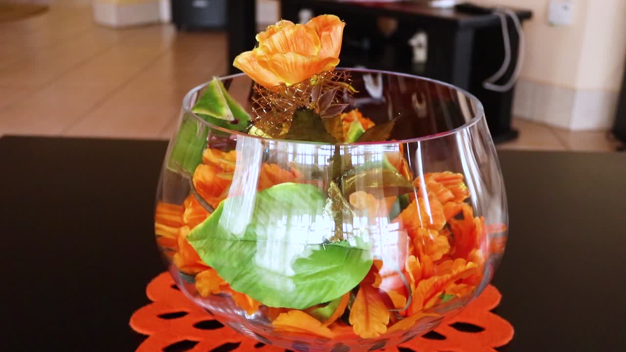 Slow motion detail view with a slow push-in on the plant in the lounge or sitting room kept on the table at Harare Zimbabwe.