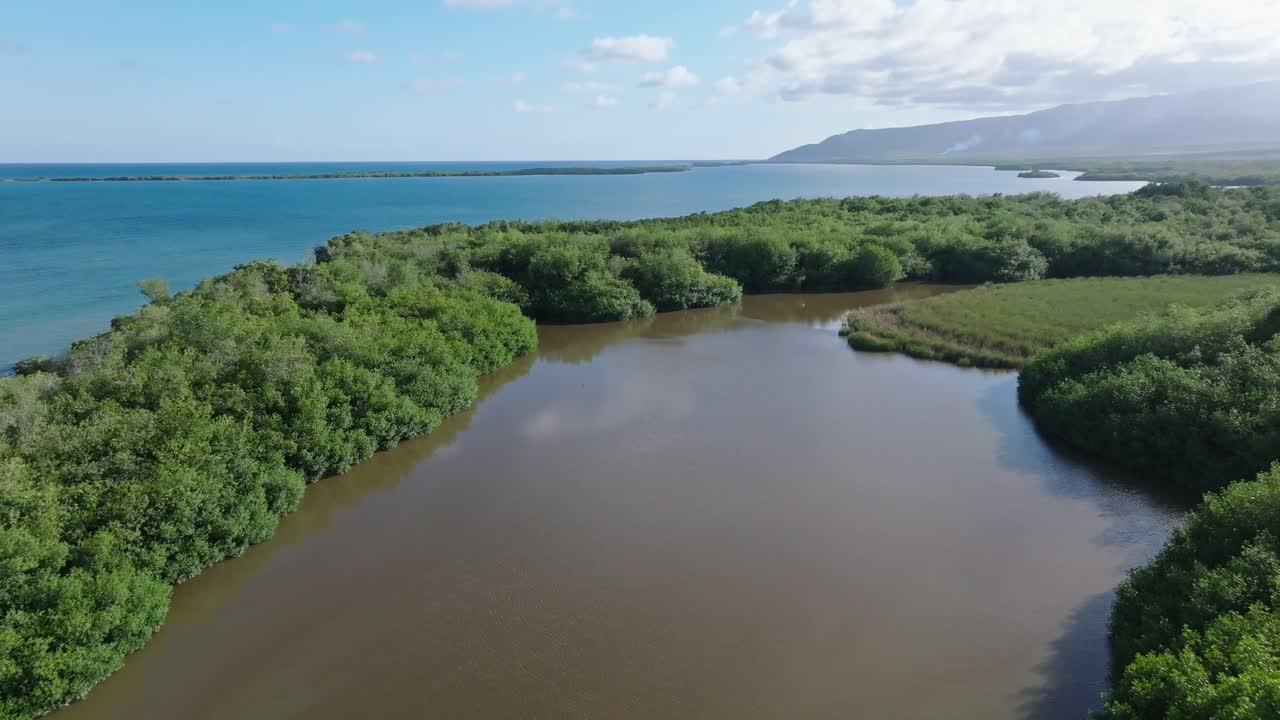 río aéreo rodeado de manglares en la playa de los negros en azua, república dominicana