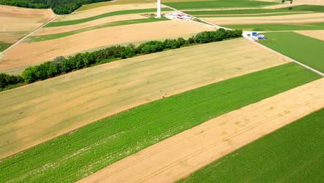 Group-Of-Wind-Energy-Engineers-On-Farm-Field-During-Prospecting-And-Land-Assuring-Prior-To-Wind-Turbine-Construction