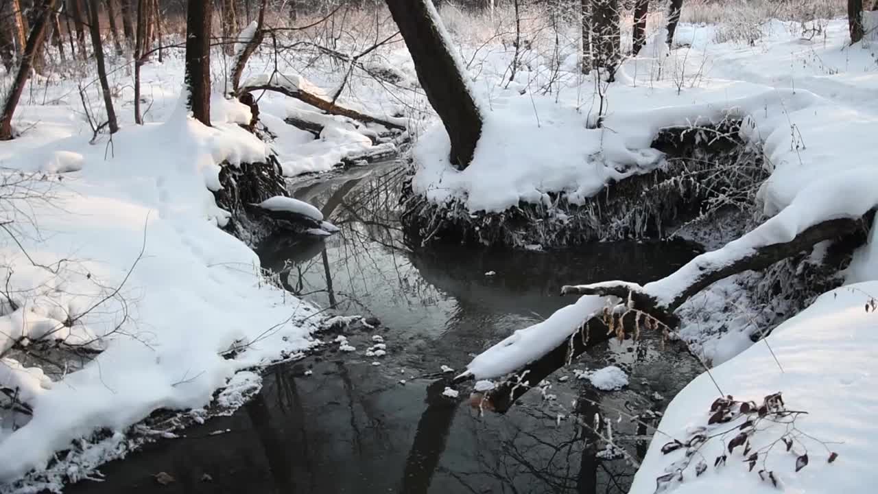 A waterwheel inside a snowy forest in winter