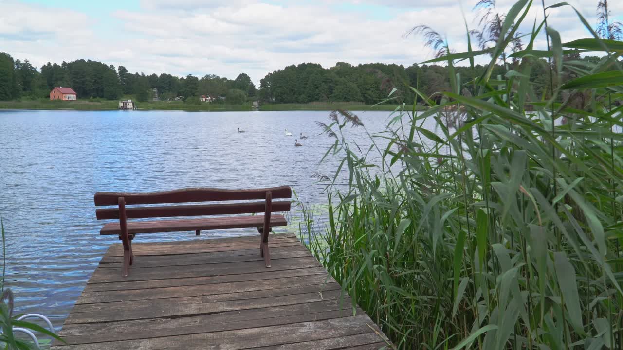 деревянная скамейка на деревянном помосте среди камышей на тихом и спокойном озере