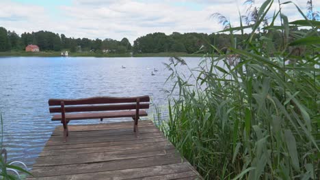 a wooden bench on a wooden platform among the reeds on a quiet and peaceful lake