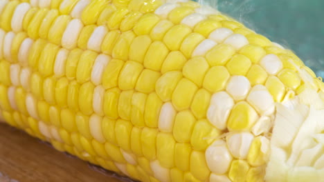 Rinsing-a-fresh,-delicious-corn-on-the-cob-outside-in-the-sun