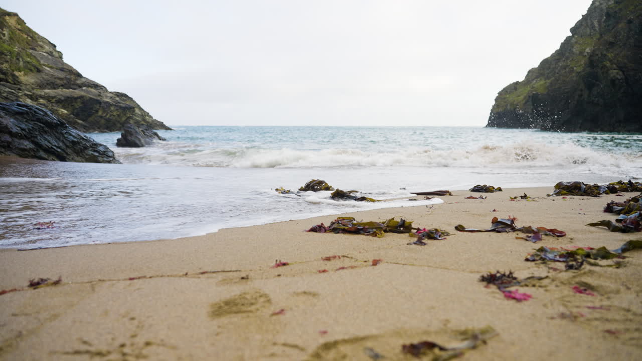 Scène de plage côtière avec des algues