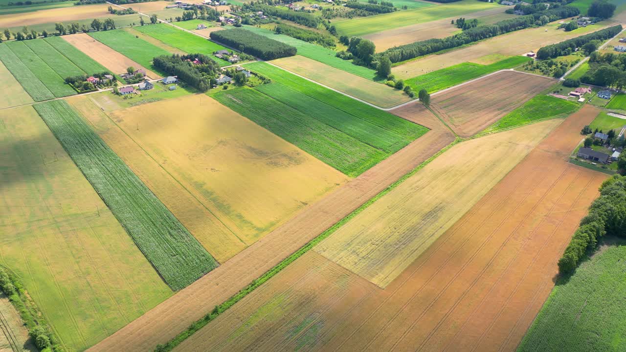Aerial view with the landscape geometry texture of a lot of agriculture fields with different plants like rapeseed in blooming season and green wheat