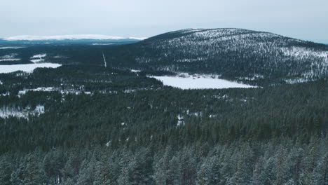 Toma-Aérea-Cinematográfica-De-Proximidad-A-Través-De-árboles-De-Montaña