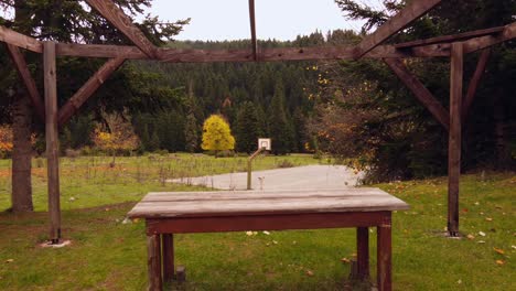 Tannen-Und-Feld:-Ein-Weg-Zum-Basketballplatz