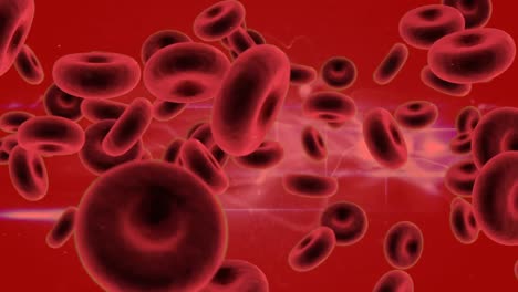 animazione di globuli rossi su sfondo rosso