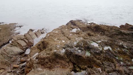 Wide-Shot-of-waves,-lapping-on-jagged,-seaweed-rocks