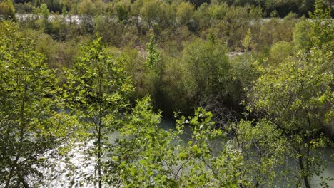 Río-Corriente-Naturaleza