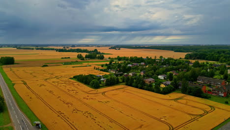 a latvian village nestled among golden wheat fields under a cloudy sky, highlighting rural life