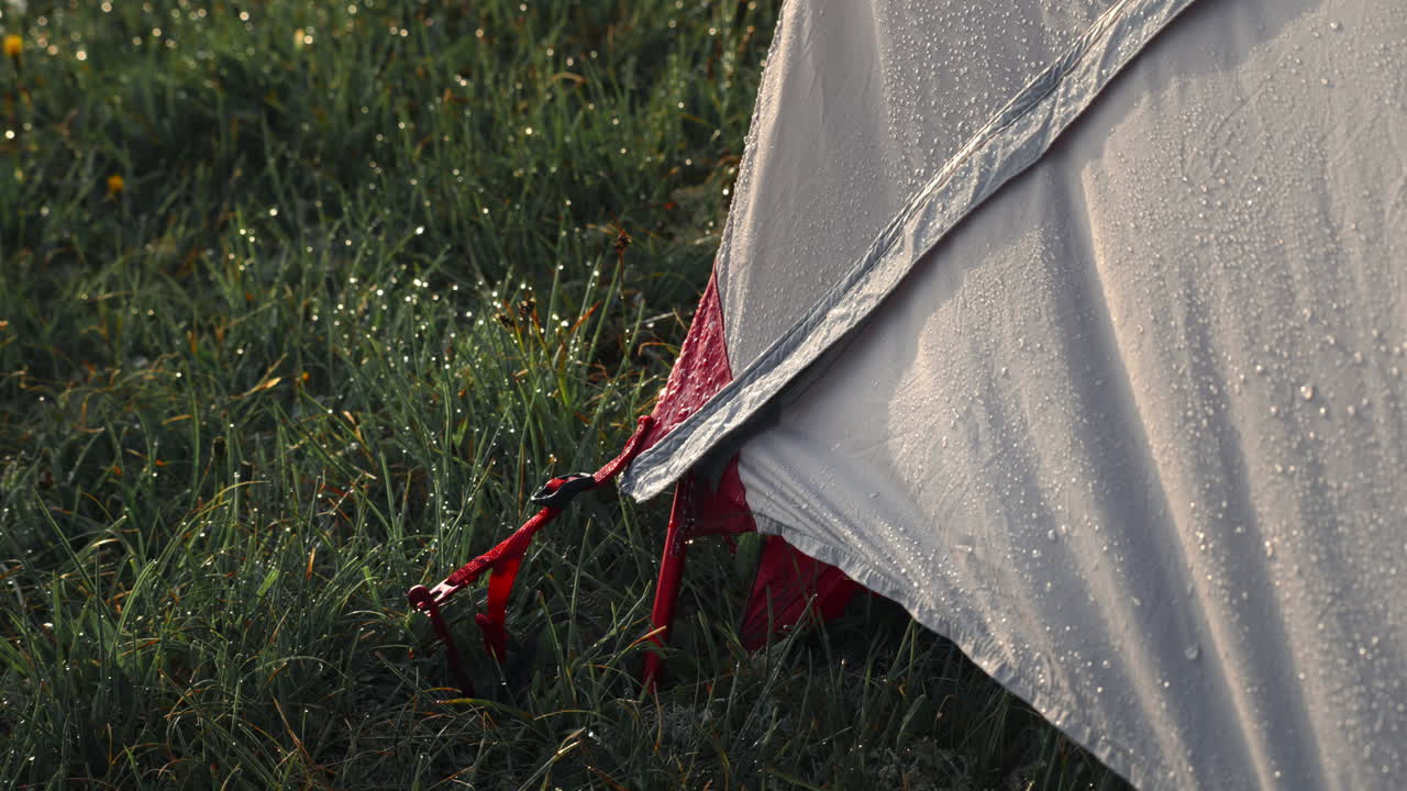 Wet Tent in Grassy Meadow