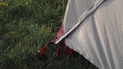 wet tent in grassy meadow