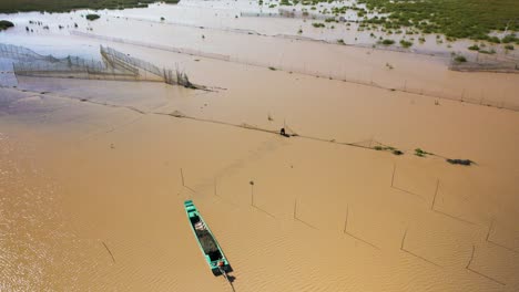 aerial drone fly over of fisherman walks in shallow muddy water to fix netting on his arrow headed fishing trap on the tonle sap, the largest fresh water lake in south east asia