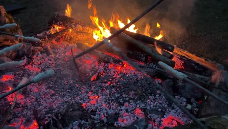 Baking-bread-on-wooden-sticks-over-campfire-at-night-in-camp,-close-up,-static-shot