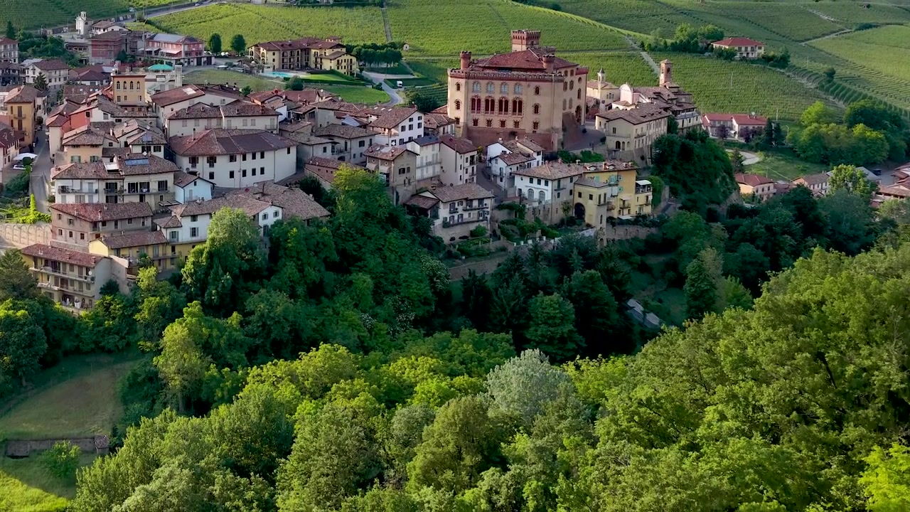 Riprese con drone catturano il villaggio storico e il castello circondati da rigogliosi vigneti verdi e colline.