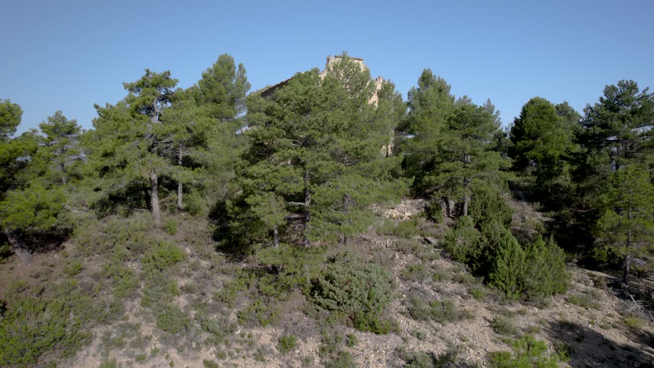 vista aérea ascendente de las antiguas ruinas restantes de la iglesia de santa bárbara o ermita entre los pinos en monroyo, región de matarrana, españa