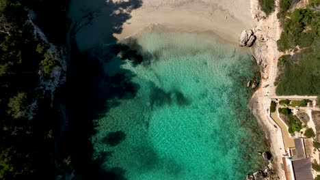 Top-down-moving-along-beach