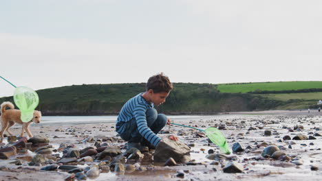 Kinder-Mit-Hund-Suchen-Im-Winterstrandurlaub-In-Rockpools