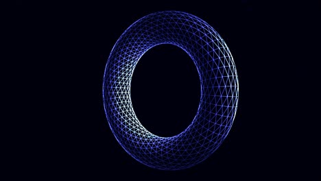 abstract wireframe torus