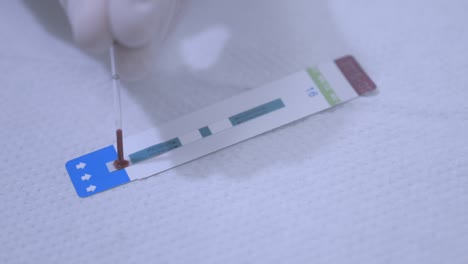muestra de sangre en la tira de prueba. tira de prueba de sangre. prueba rápida de vih