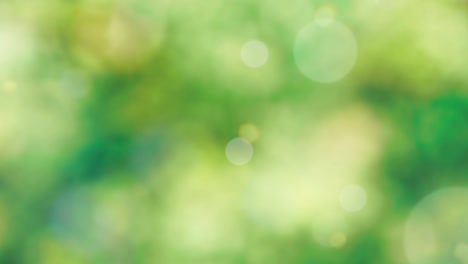 Abstract spring background with bokeh